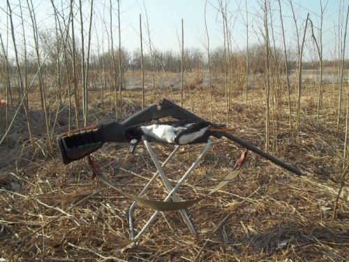 гоголь