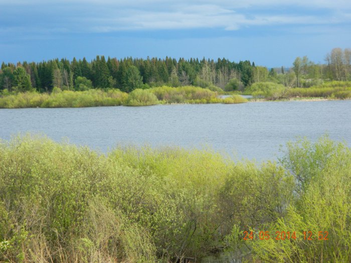 Спасская Заимка . Вид на озеро из панорамного окна.