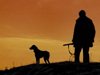 К вопросу об охотничьем собаководстве