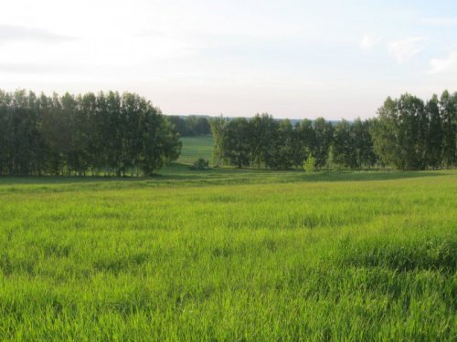 Молодо-зелено