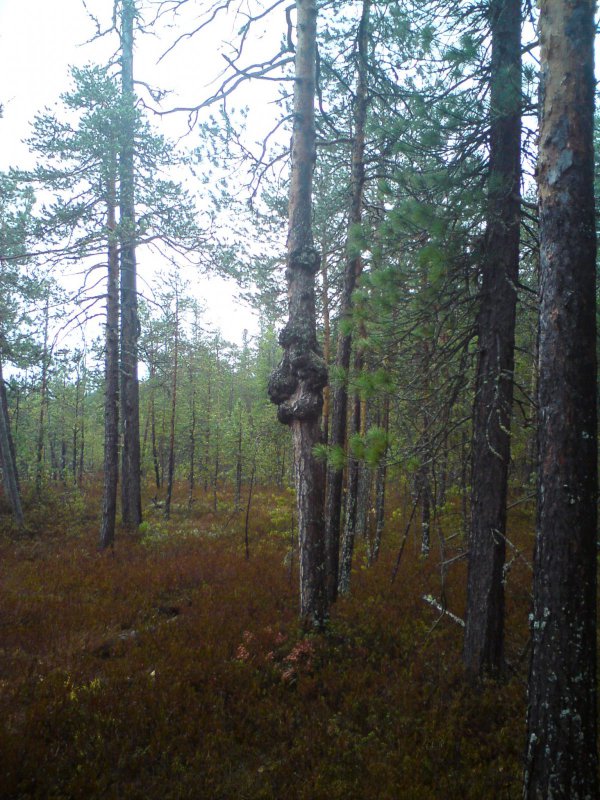 тоже самое