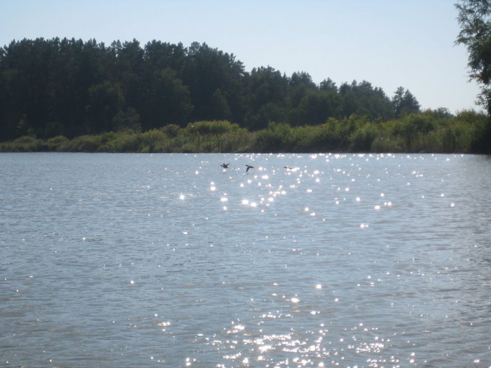Над водой
