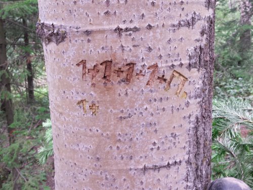 Не все поймут  но многие вспомнят.
