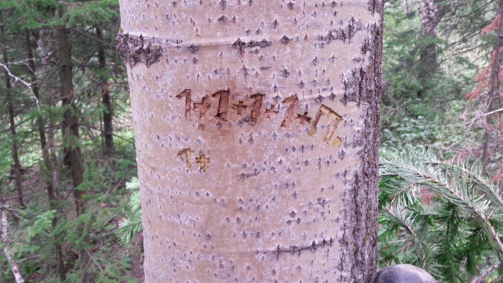 Не все поймут  но многие вспомнят.