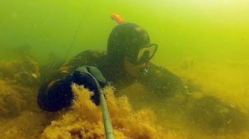 подводная охота # 7 в поисках рыбы
