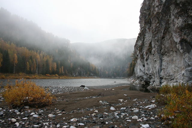 осенний туман