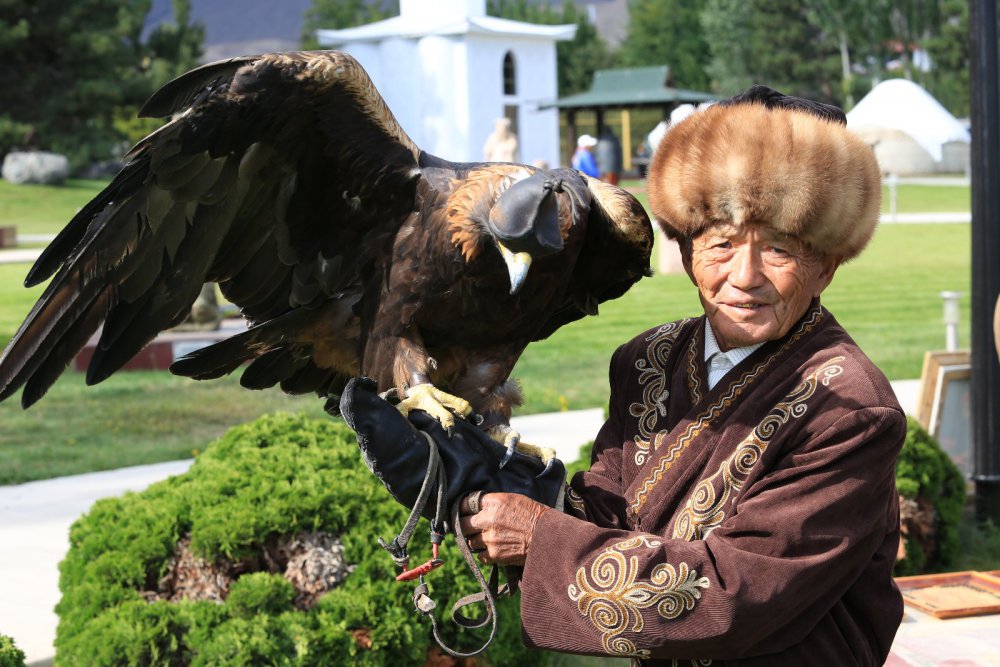 Беркутчи