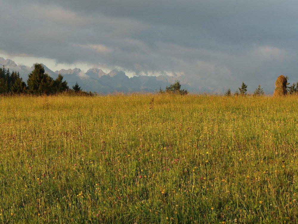 Tatry