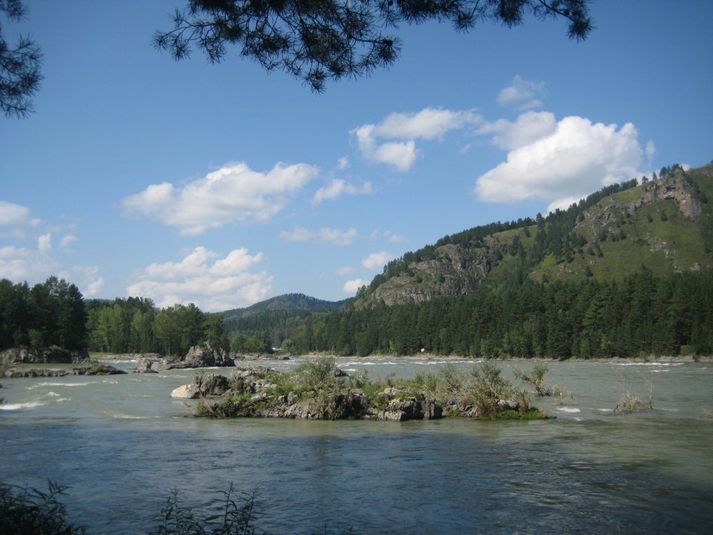 Катунь
