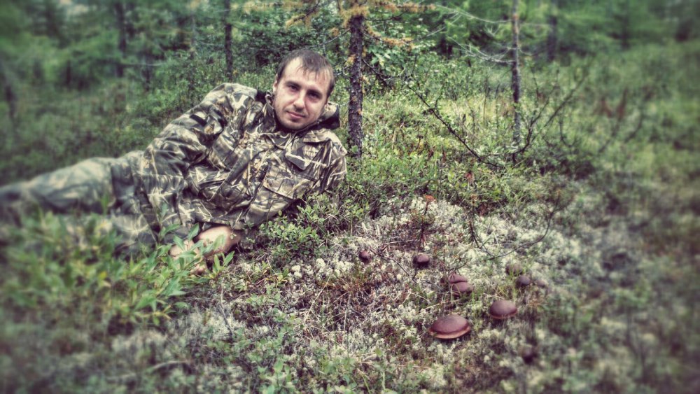 грибная охота