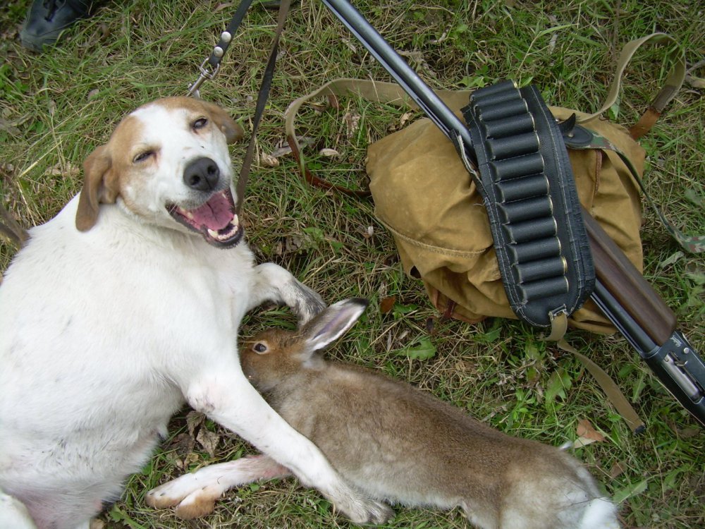 Счатлива собака - счастлив охотник!