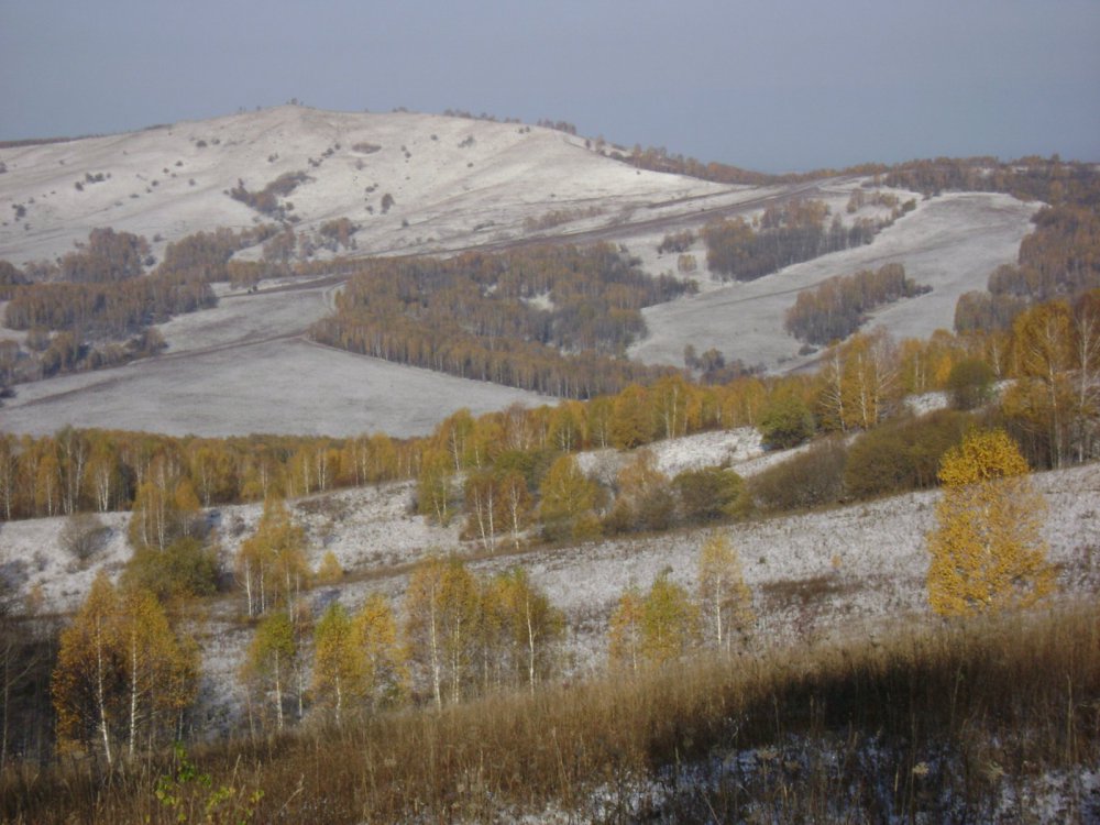 Снег и золотая осень