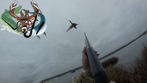 Охота на утку на море