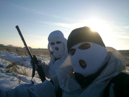 в поисках зайца