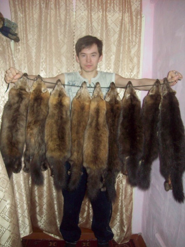 собольки