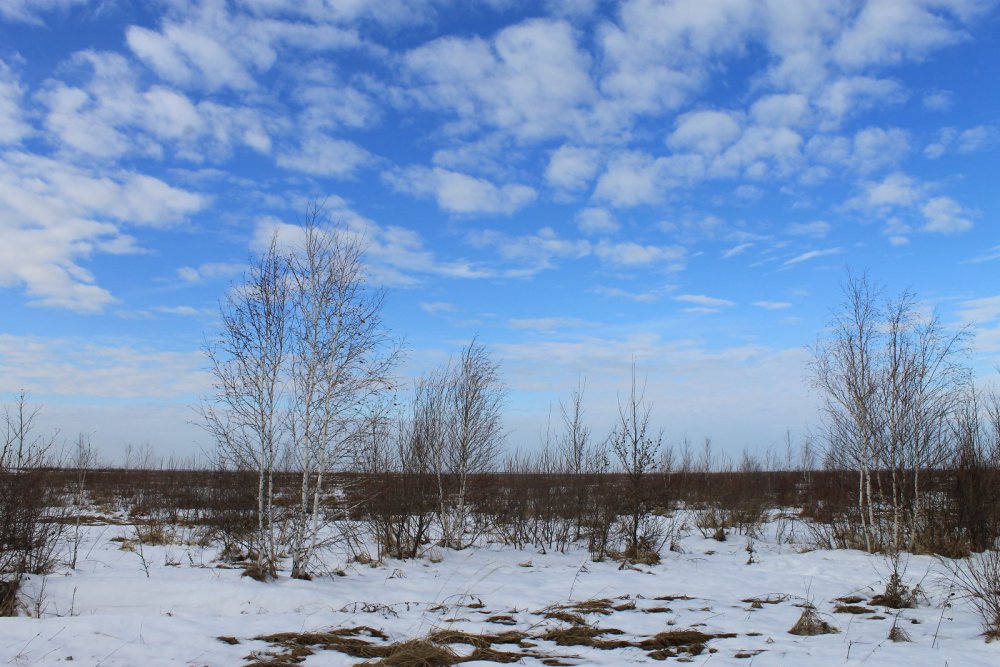 Небо