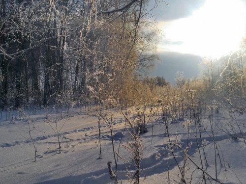 На номере