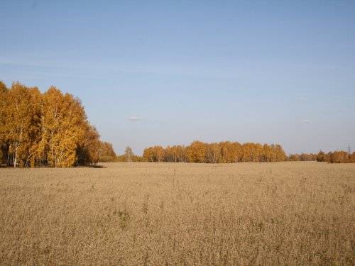 Вспомнилась осень....