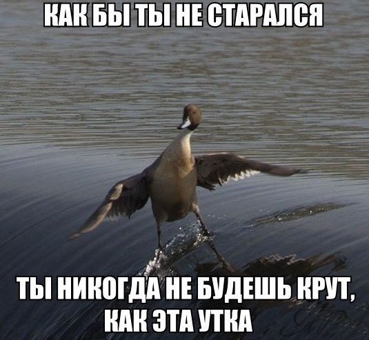 Улыбнитесь!