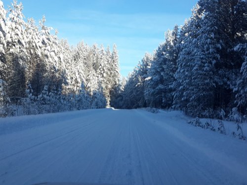 после снега все красивое