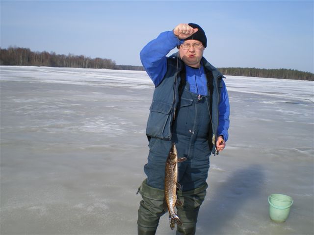 Для Сохатого