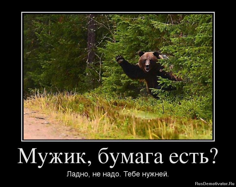 Мишка.