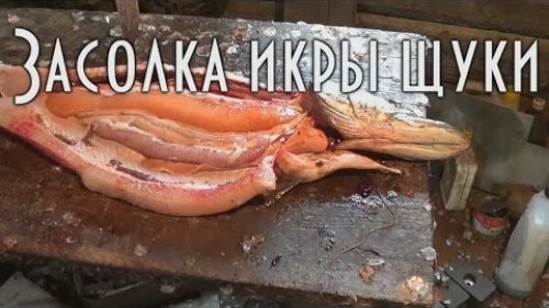 Горячая засолка икры щуки. Hot salting pike caviar