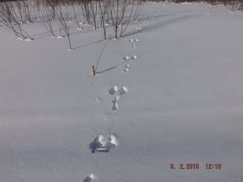 Живее всех живых.