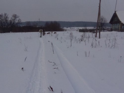 в пути на охоту