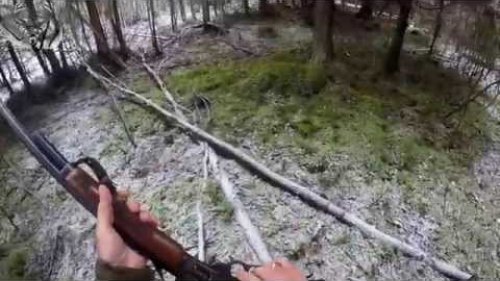 охота с собачками