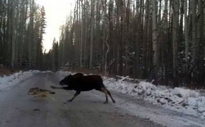 Без слов.
