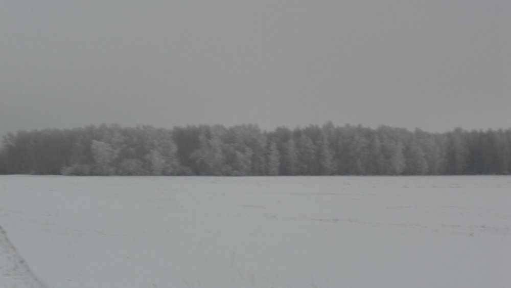 зима