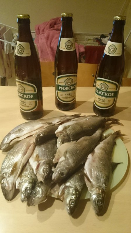 Всех с пятницей.