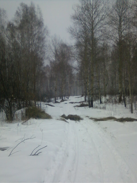 еще завезли сено 2 возика