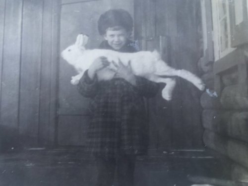 80-е года.Отец привез с охоты зайца.