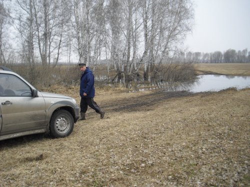 Однако не доеду весной до скрадка.