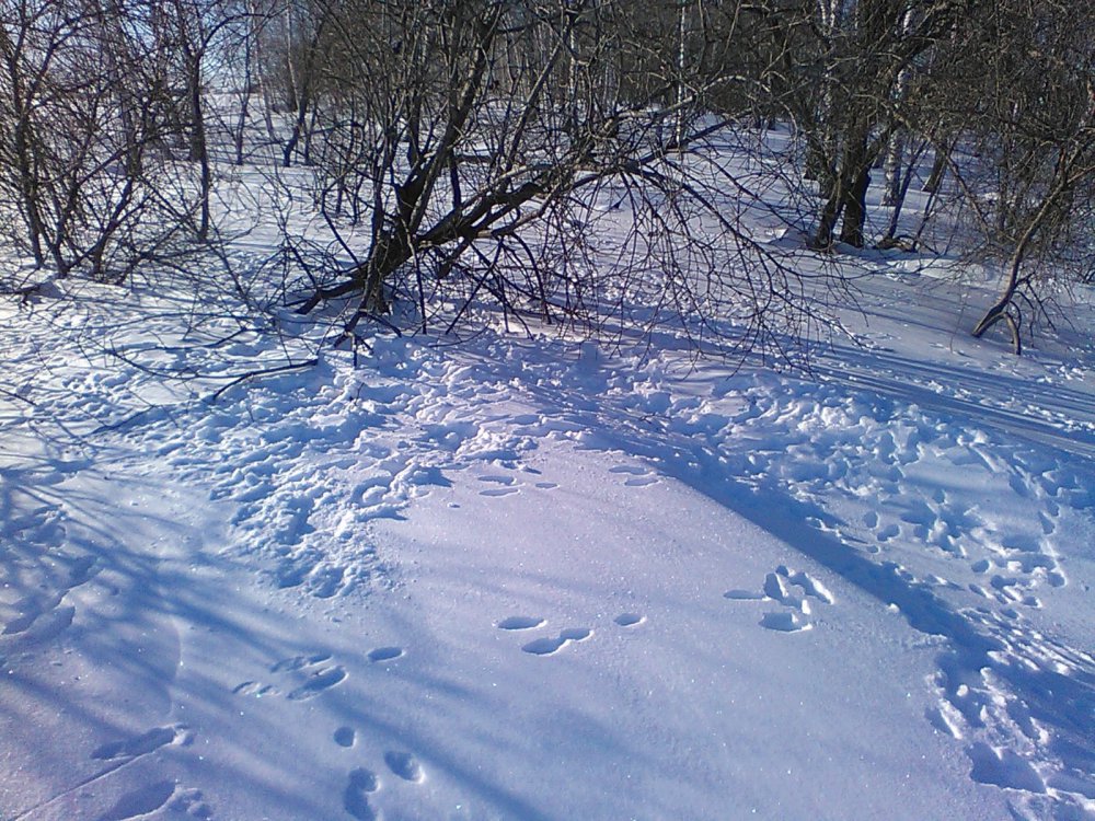 фото с закрытия 2,собрание наверное было.