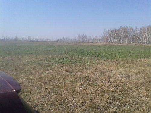 поляна перед болотом на котором мы охотимся вид весной