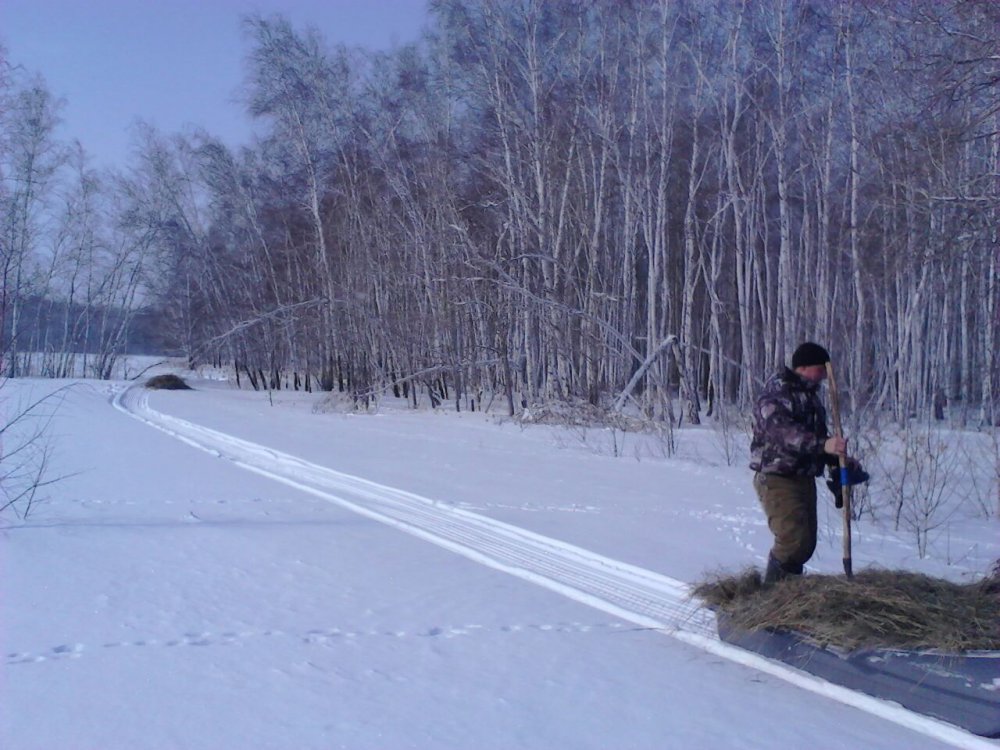развозим сено