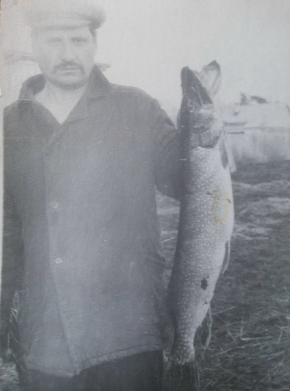 Удачная рыбалка!Отец поймал щуку на 5 кг.