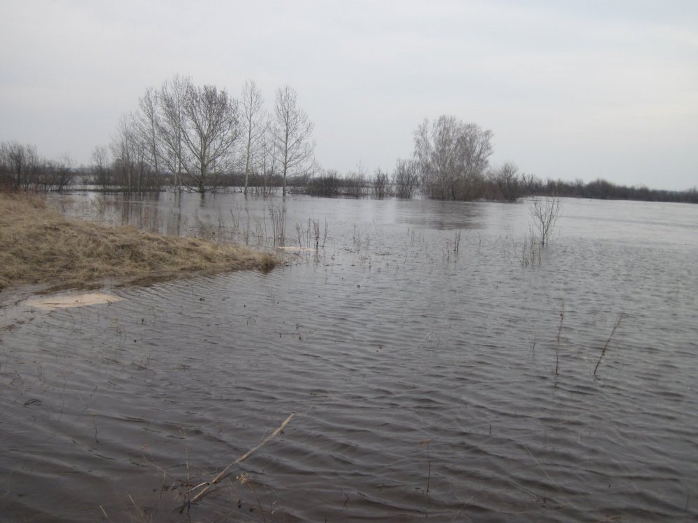 вот столько в прошлом году было воды,что будет в этом  ?