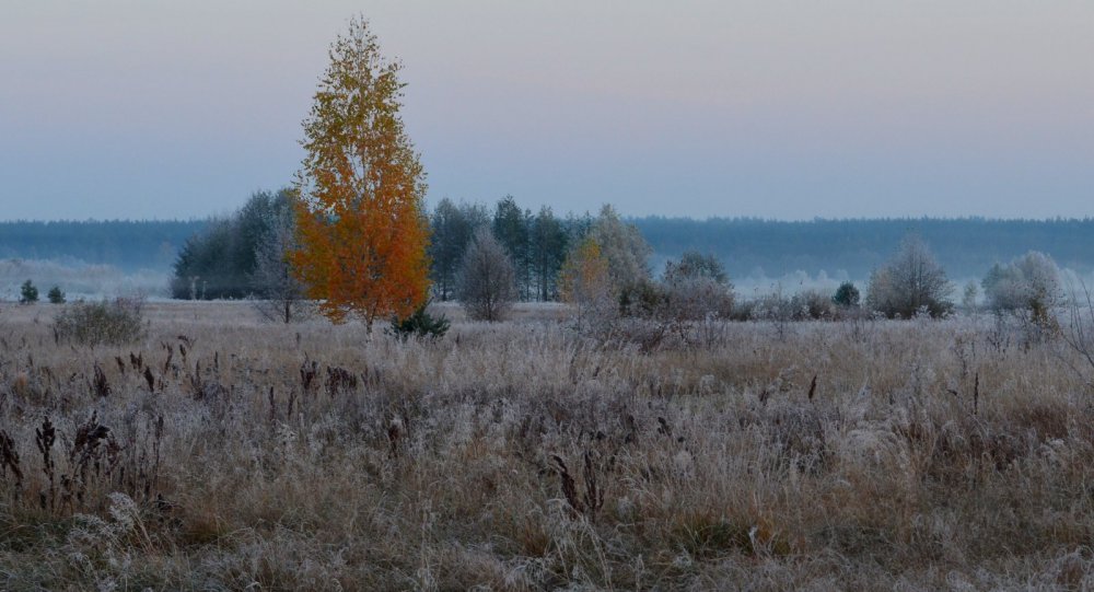 Золушка на балу осени