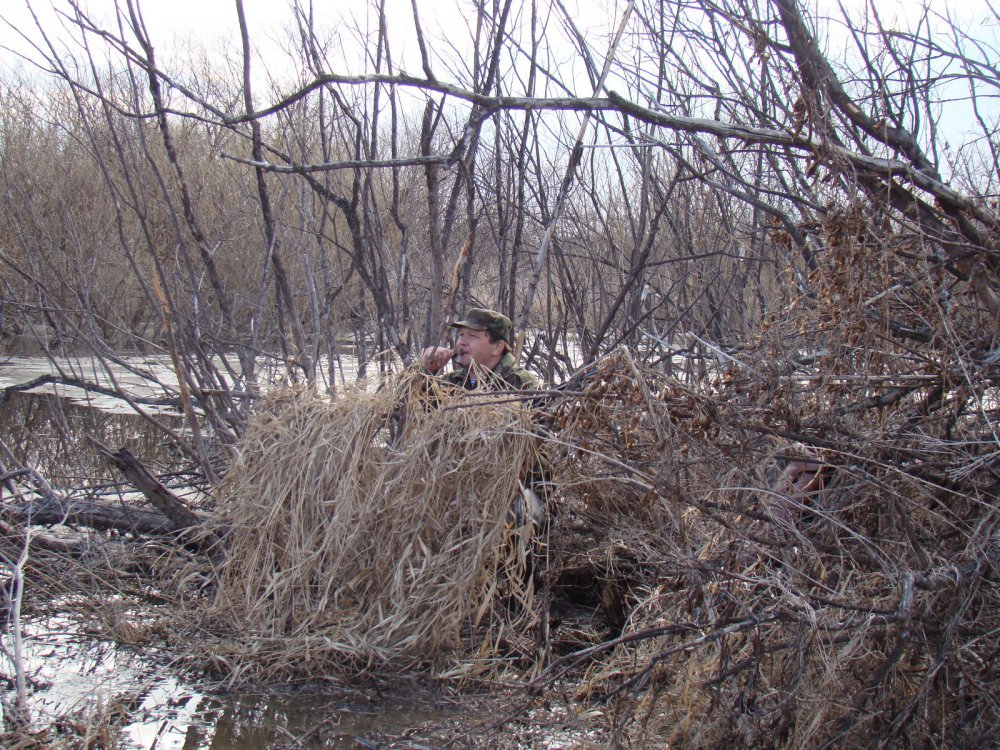 Колыванский район. Открытие весенней охоты.