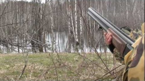 Охота на селезня с подсадной.