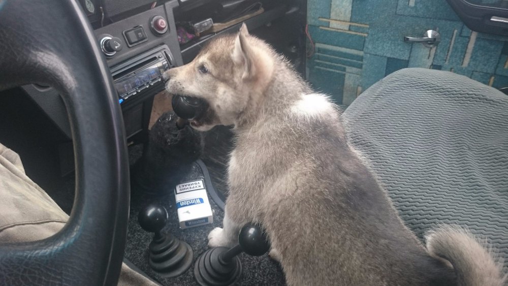 помогает скоростя переключать))