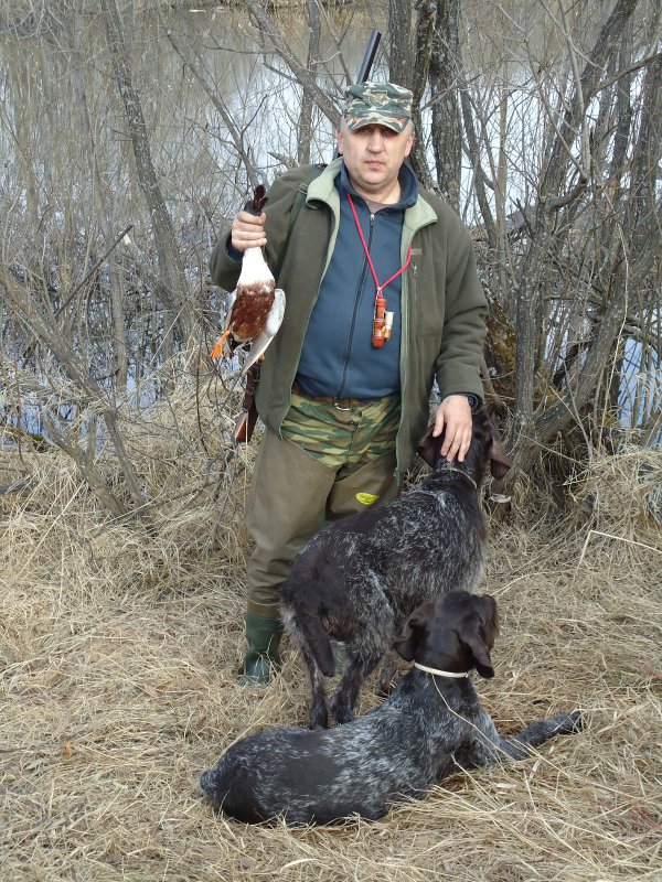 весна 2015