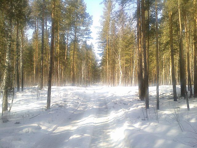 красота