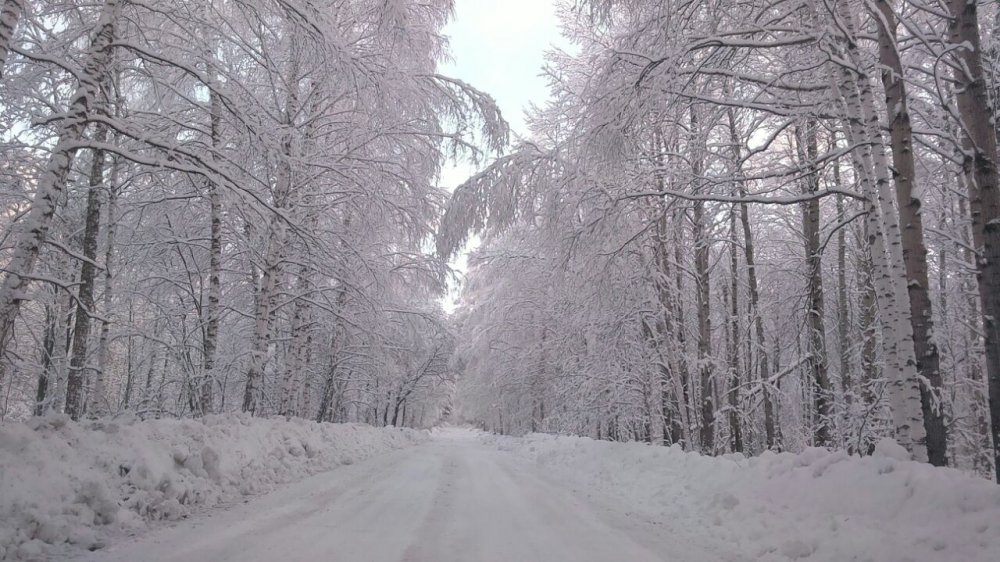 Снежок 2