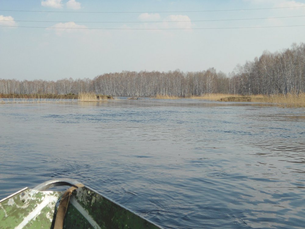Разлив весны 2014...