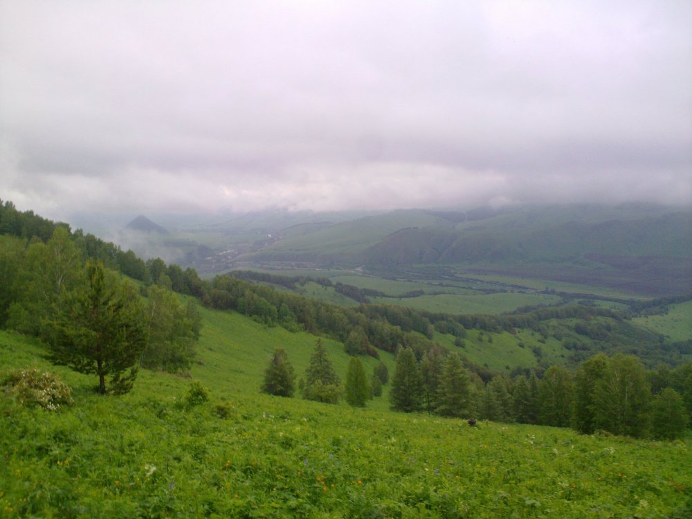 Красота